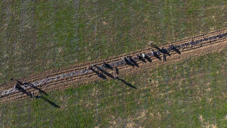 Photo aérienne montrant des personnes en train de planter des arbustes 